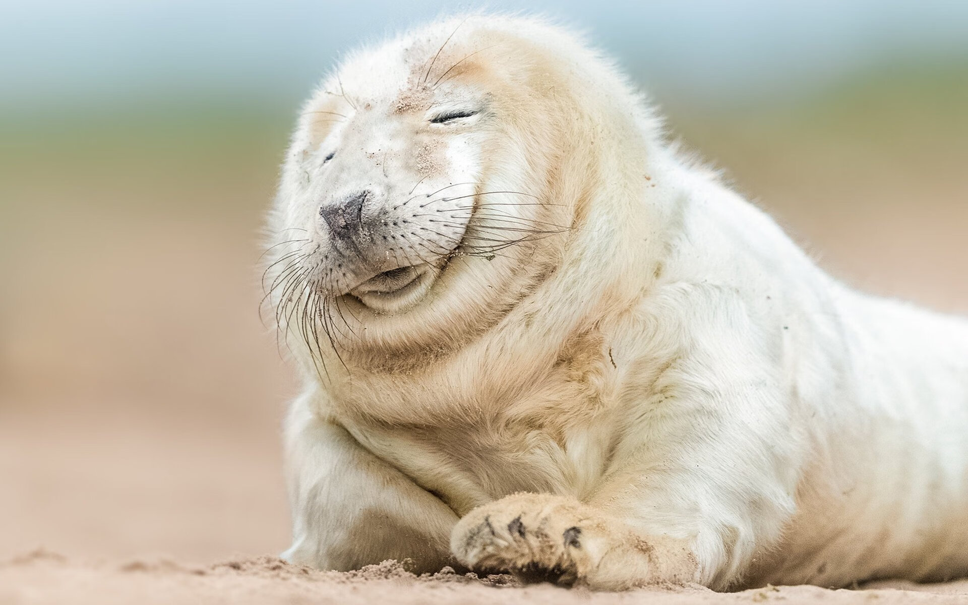 中超推出官方球员卡片收藏系统，中超高端官方球星卡