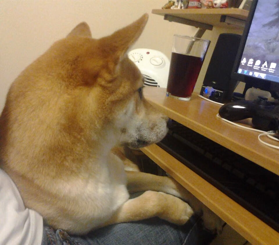 勒沃库森2-2沃尔夫斯堡，特拉普和赫尔佐格各入一球，勒沃库森 沃尔夫斯堡