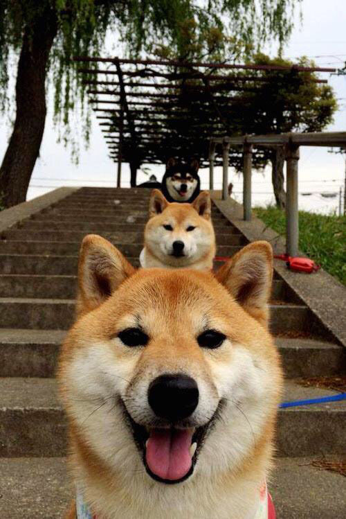 kaiyun中国官方网站-史上“炸裂”逆转：谁的表现刷新了纪录？