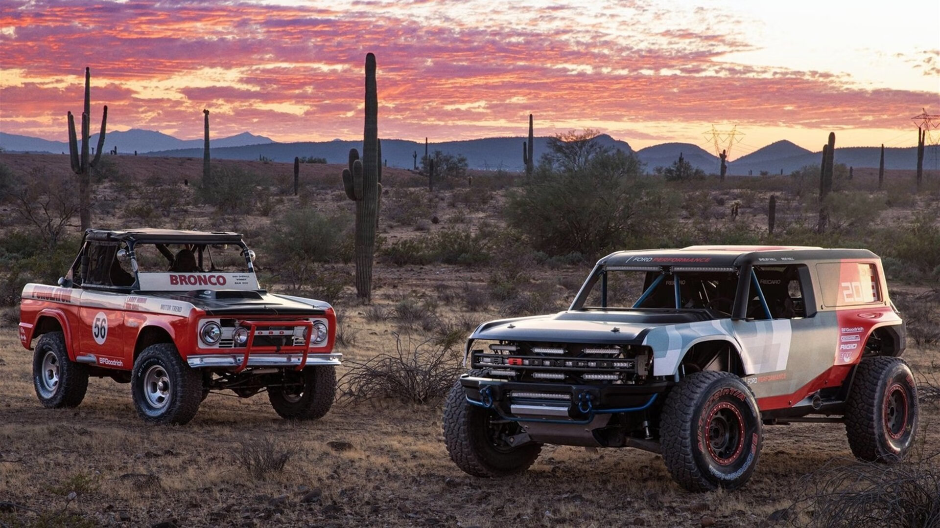 开云体育在线入口-大型极速飞盘野外挑战赛，团队协作的极致考验，极限飞盘比赛时间需要多久